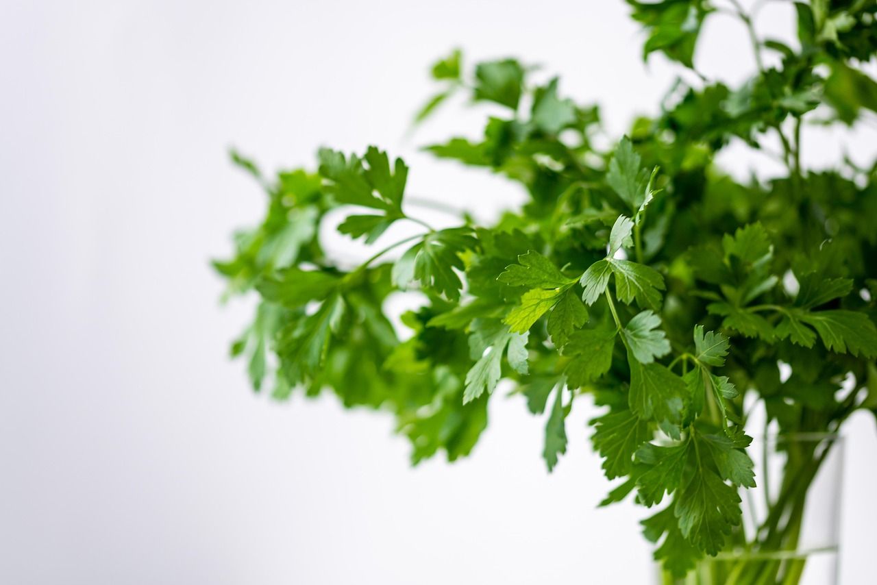 schnelle und gesunde familiengerichte – einfache rezepte für köstliche mahlzeiten, die jeder liebt.
