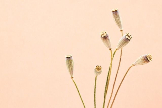 Wie du mit Minimalismus dein Geschäft optimierst und Kosten sparst