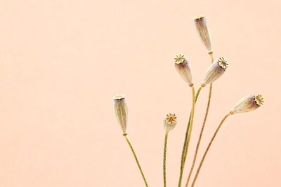 Wie du mit Minimalismus dein Geschäft optimierst und Kosten sparst